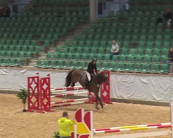 Reitturnier Kreuth 2023