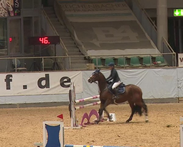 Reitturnier Kreuth 2023