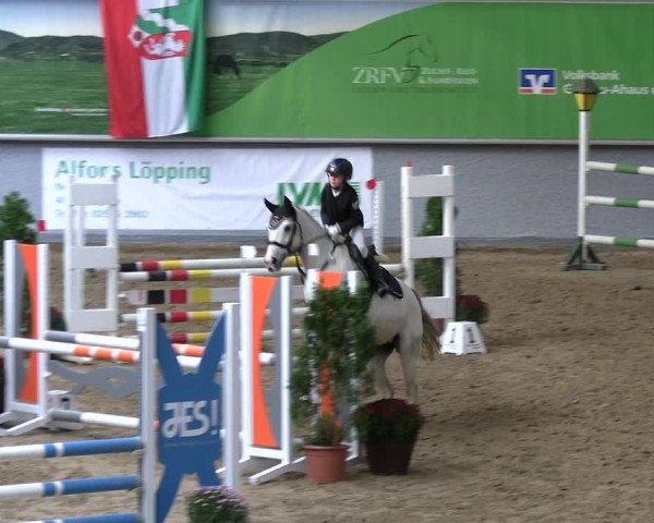 Reitturnier Legden | Ponyturnier 2023