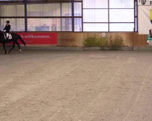 Reitturnier Großenwiehe 2023