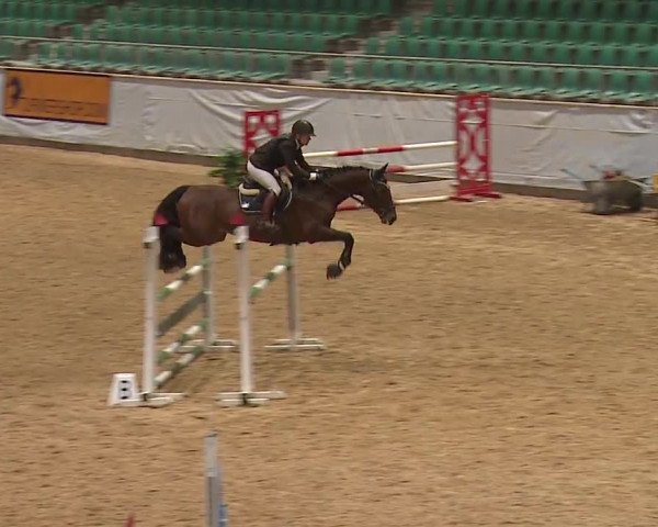 Reitturnier Kreuth 2023