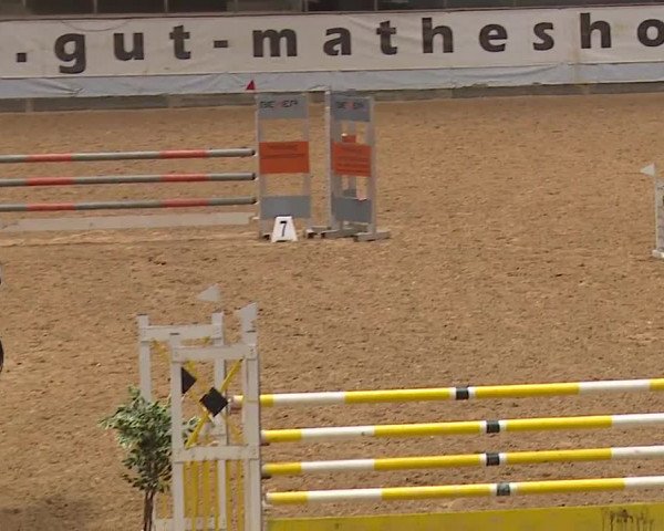 Reitturnier Kreuth 2023