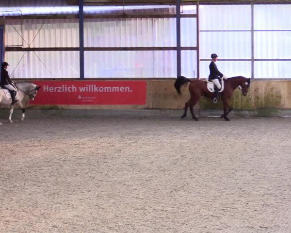 Reitturnier Großenwiehe 2023