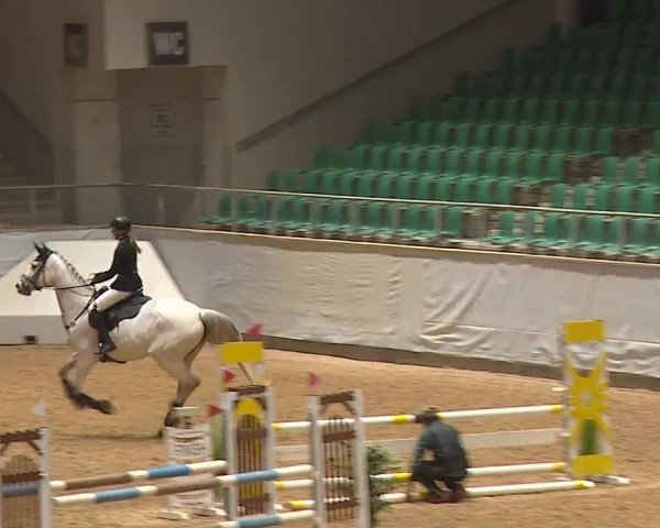 Reitturnier Kreuth 2023