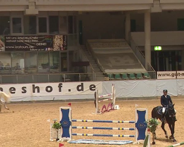 Reitturnier Kreuth 2023