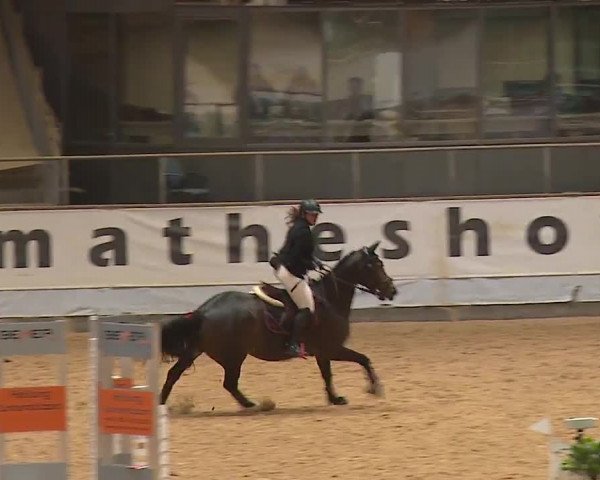 Reitturnier Kreuth 2023