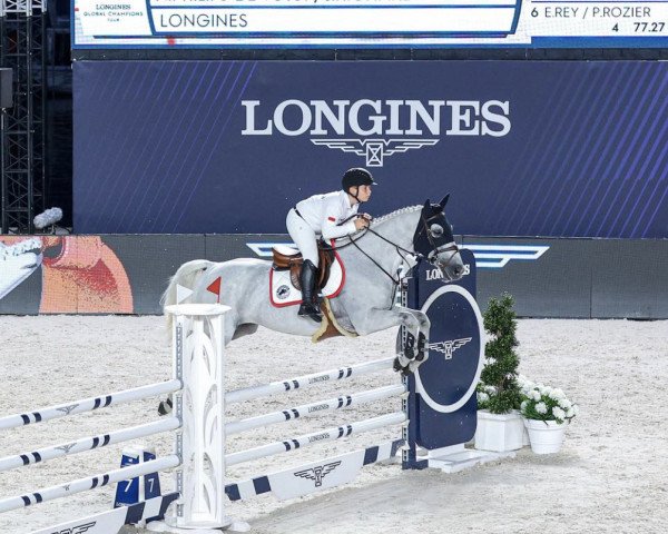 jumper Venture (Selle Français, 2009, from Adelfos)