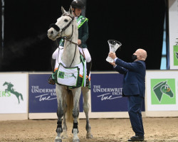 jumper COMPELLING Z (Zangersheide riding horse, 2010, from Chellano Z)