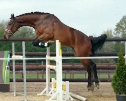jumper Camiro (Rhinelander, 2019, from Crusoe 5)