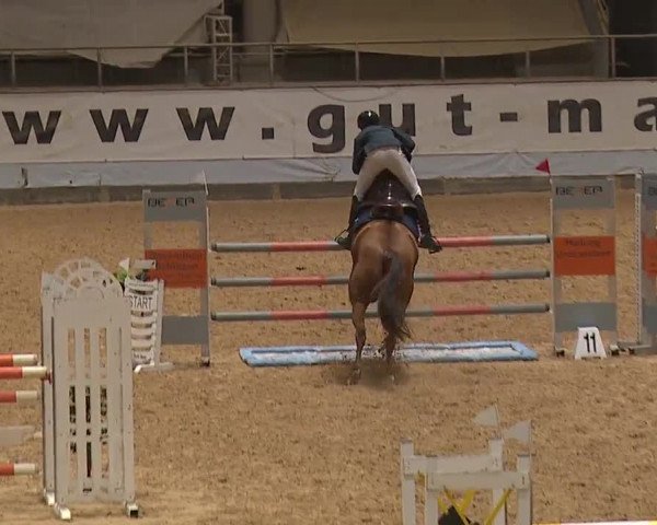 Reitturnier Kreuth 2023