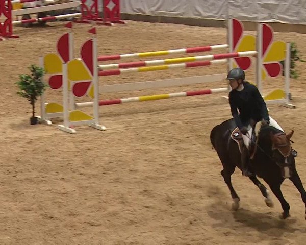 Reitturnier Kreuth 2023