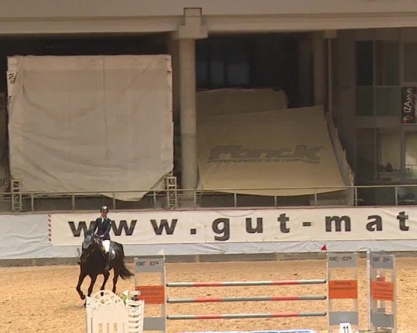 Reitturnier Kreuth 2023