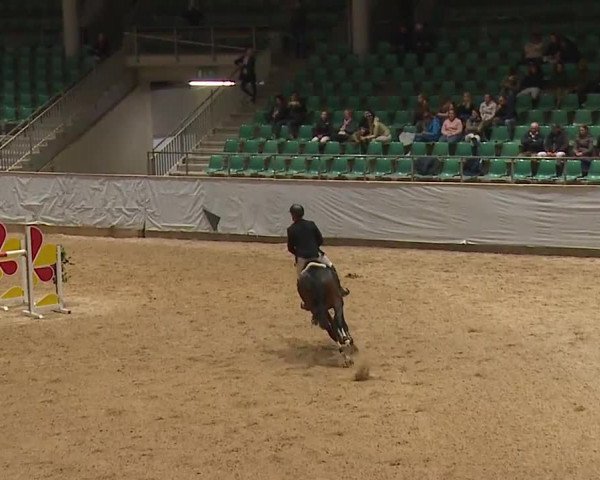 Reitturnier Kreuth 2023