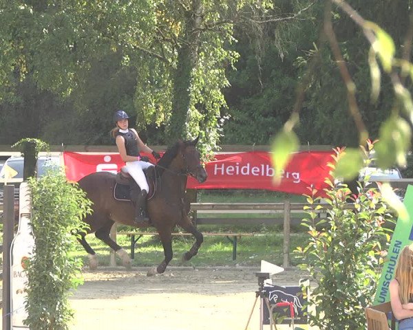 Springturnier Walldorf/Winterheck 2021