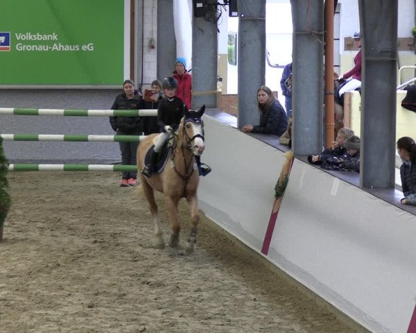 Reitturnier Legden | Ponyturnier 2023