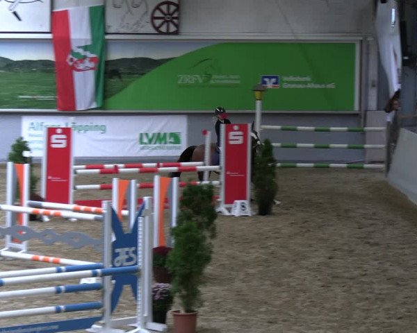 Reitturnier Legden | Ponyturnier 2023