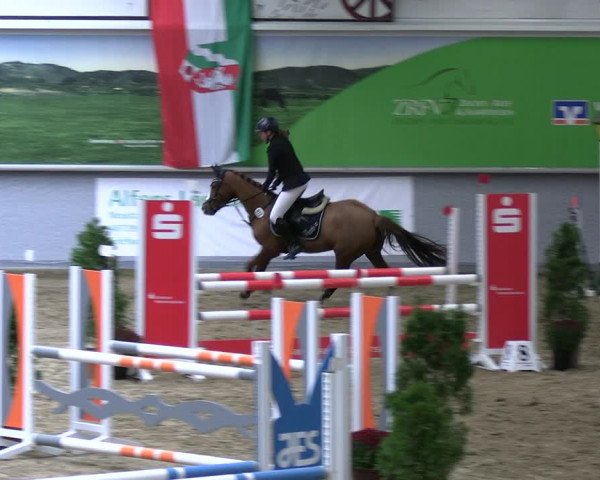 Reitturnier Legden | Ponyturnier 2023