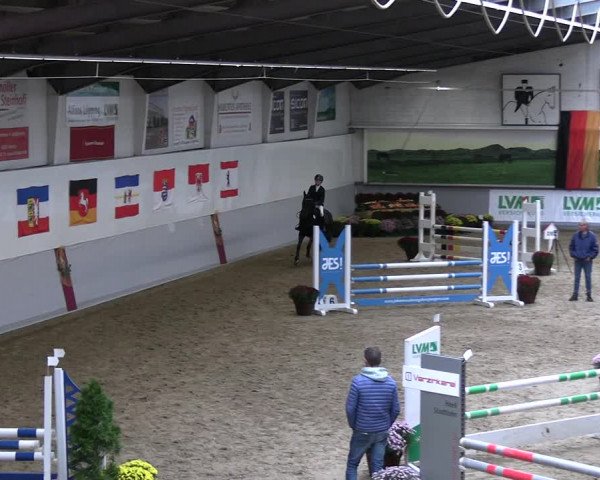 Reitturnier Legden | Ponyturnier 2023