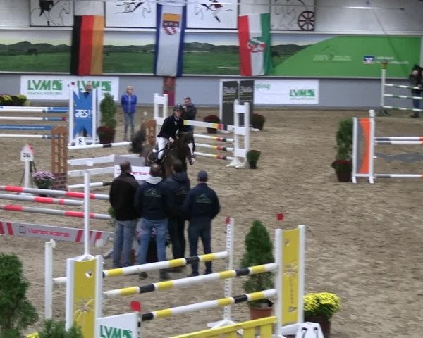 Reitturnier Legden | Ponyturnier 2023