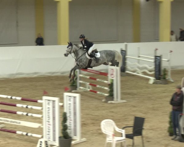 Springturnier Stadl Paura 2023