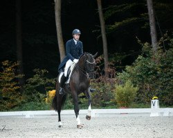 dressage horse Dancing Scarlett (Hanoverian, 2015, from Dancing World)
