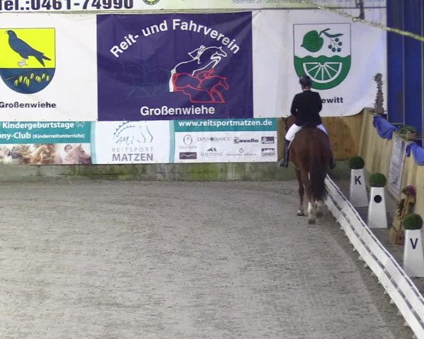 Reitturnier Großenwiehe 2023