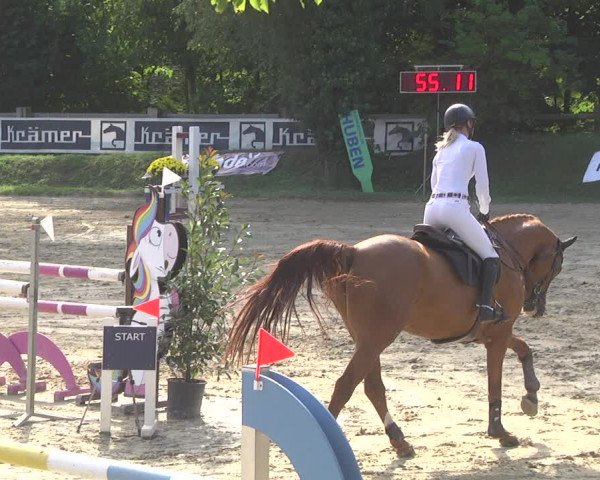 Springturnier Walldorf/Winterheck 2021