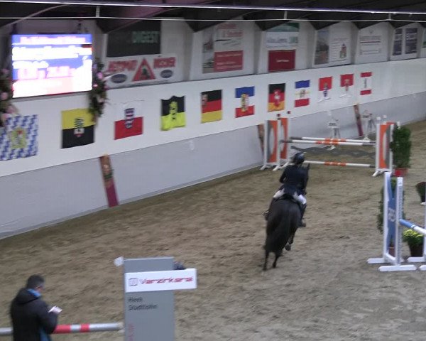 Reitturnier Legden | Ponyturnier 2023