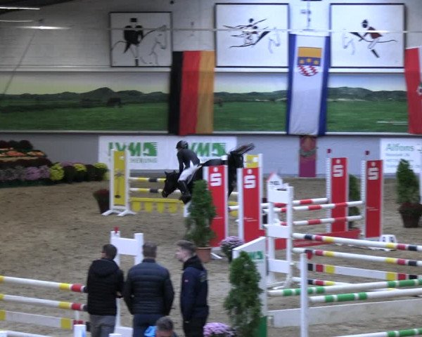 Reitturnier Legden | Ponyturnier 2023