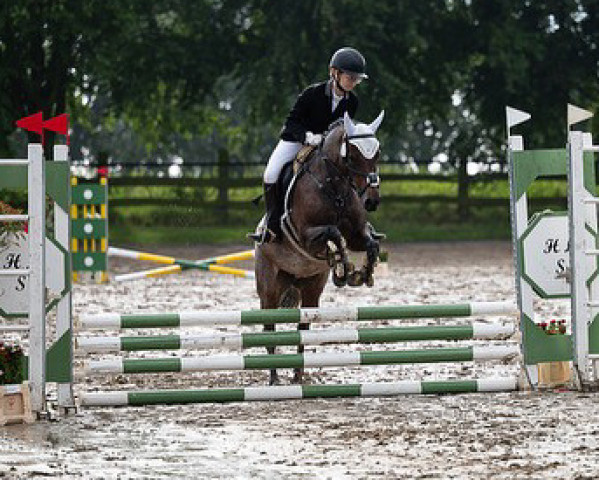 dressage horse Diva Donna (German Riding Pony, 2010, from D'Acord)