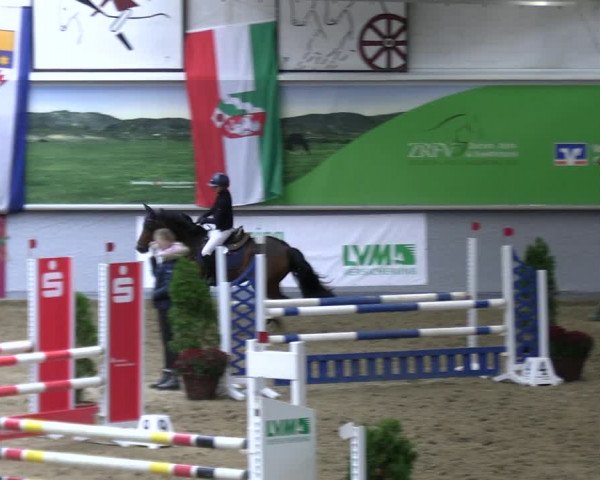 Reitturnier Legden | Ponyturnier 2023