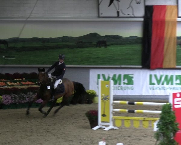 Reitturnier Legden | Ponyturnier 2023
