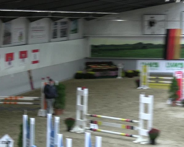 Reitturnier Legden | Ponyturnier 2023