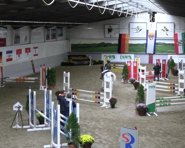 Reitturnier Legden | Ponyturnier 2023