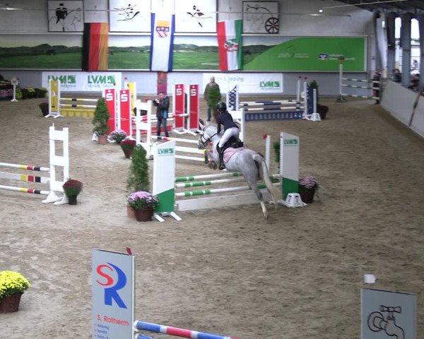 Reitturnier Legden | Ponyturnier 2023