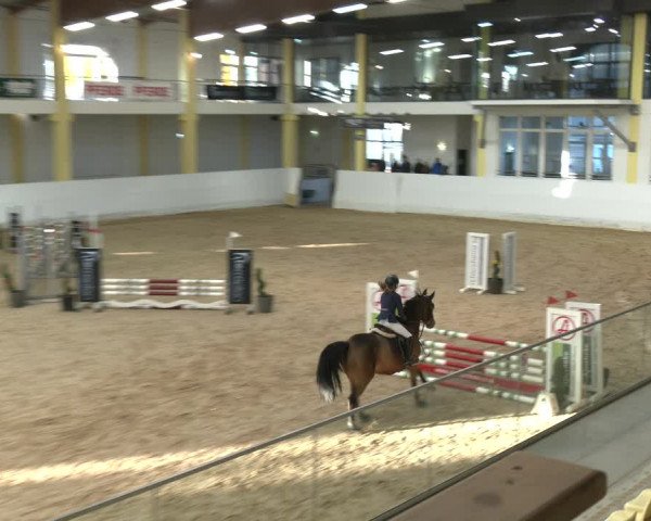 Springturnier Stadl Paura 2023