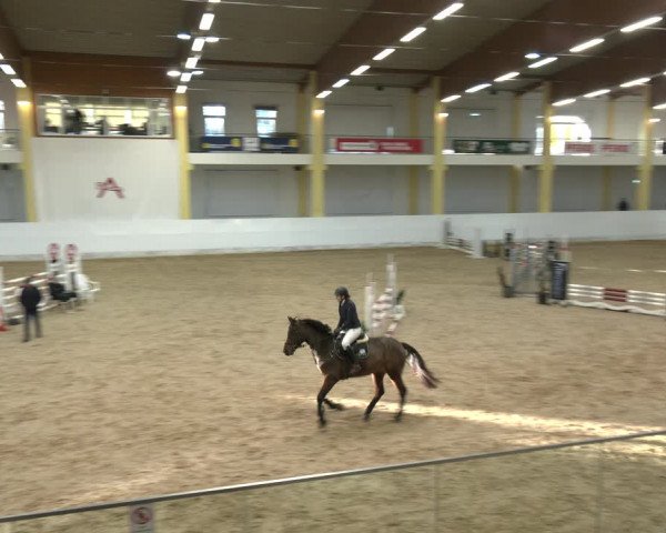 Springturnier Stadl Paura 2023
