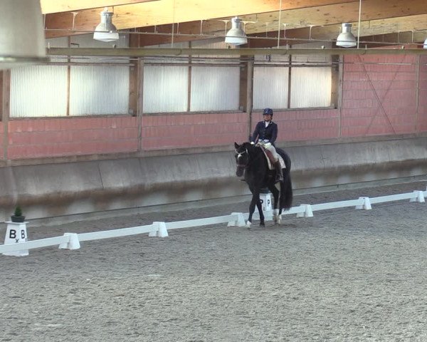 Reitturnier Tremsdorf, Eichenhof 2023