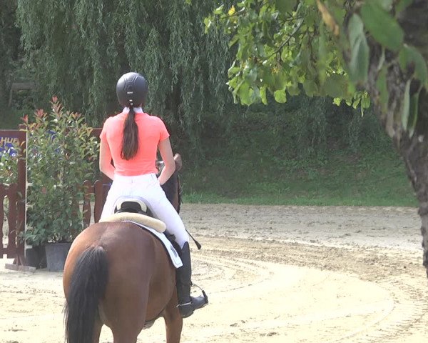 Springturnier Walldorf/Winterheck 2021
