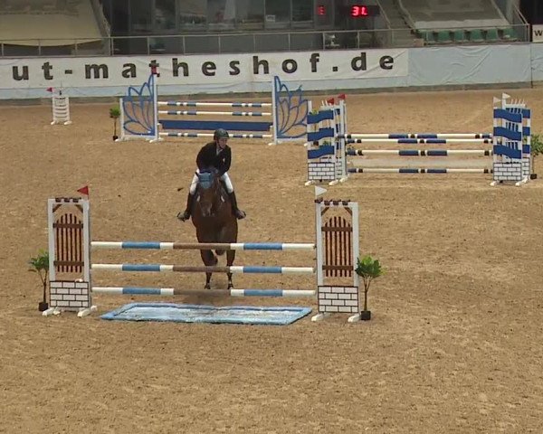 Reitturnier Kreuth 2023
