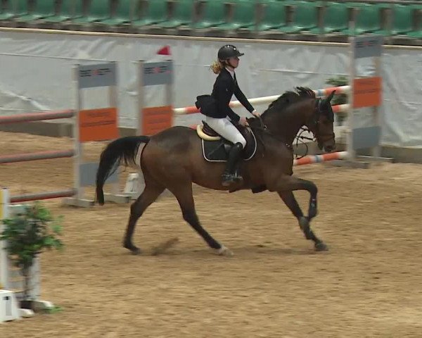 Reitturnier Kreuth 2023
