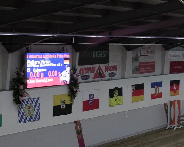 Reitturnier Legden | Ponyturnier 2023