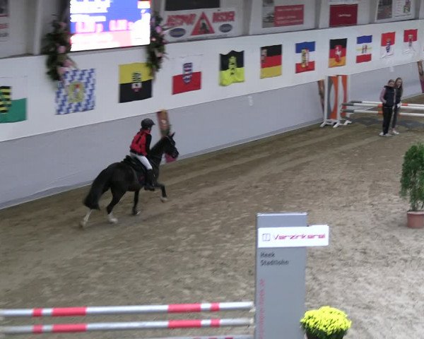 Reitturnier Legden | Ponyturnier 2023