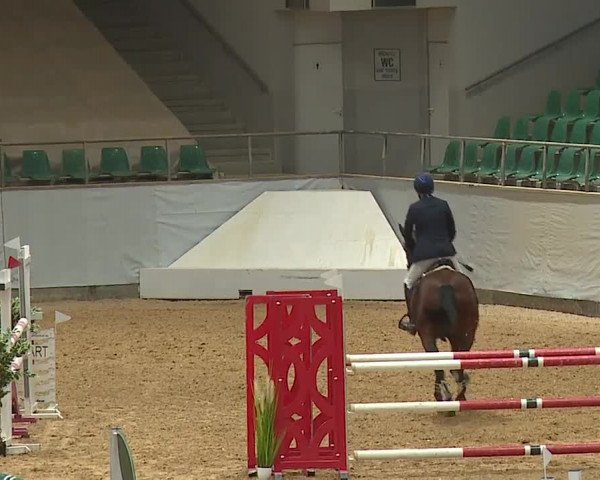 Reitturnier Kreuth 2023