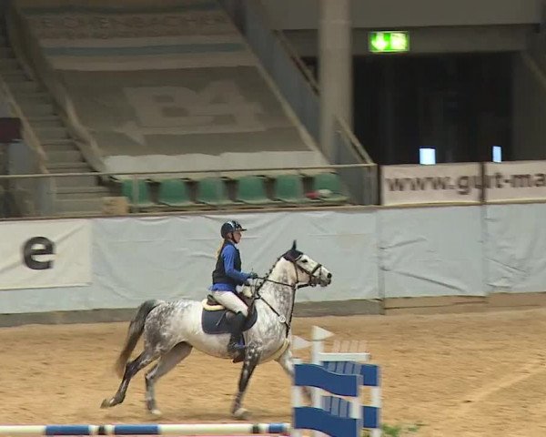 Reitturnier Kreuth 2023