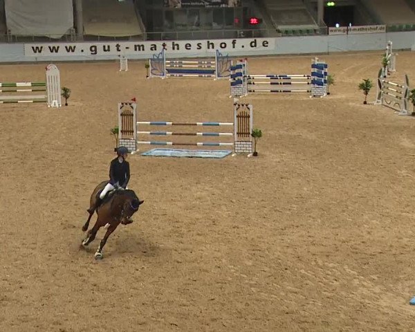 Reitturnier Kreuth 2023