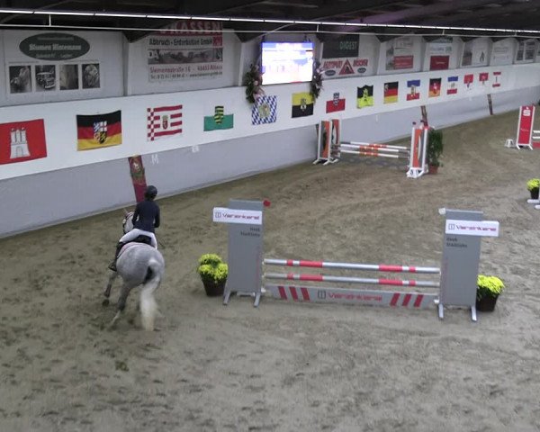 Reitturnier Legden | Ponyturnier 2023