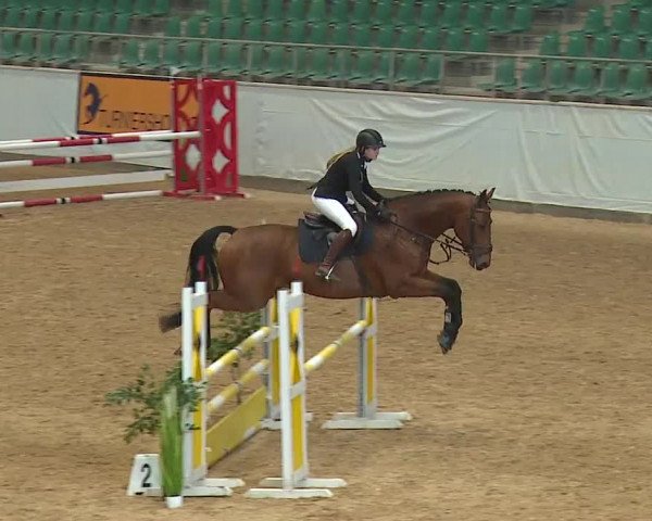 Reitturnier Kreuth 2023