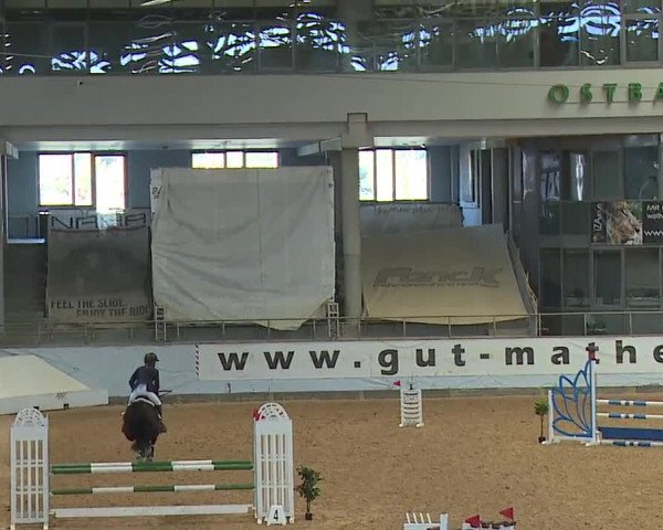Reitturnier Kreuth 2023
