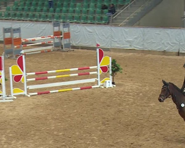 Reitturnier Kreuth 2023